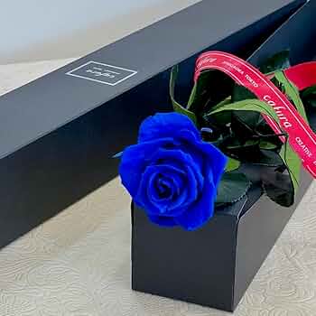 ブリザーブドフラワー 薔薇 100輪 楽天市場】プリザーブドフラワー 紫バラ 100本 紫バラ 花束 100