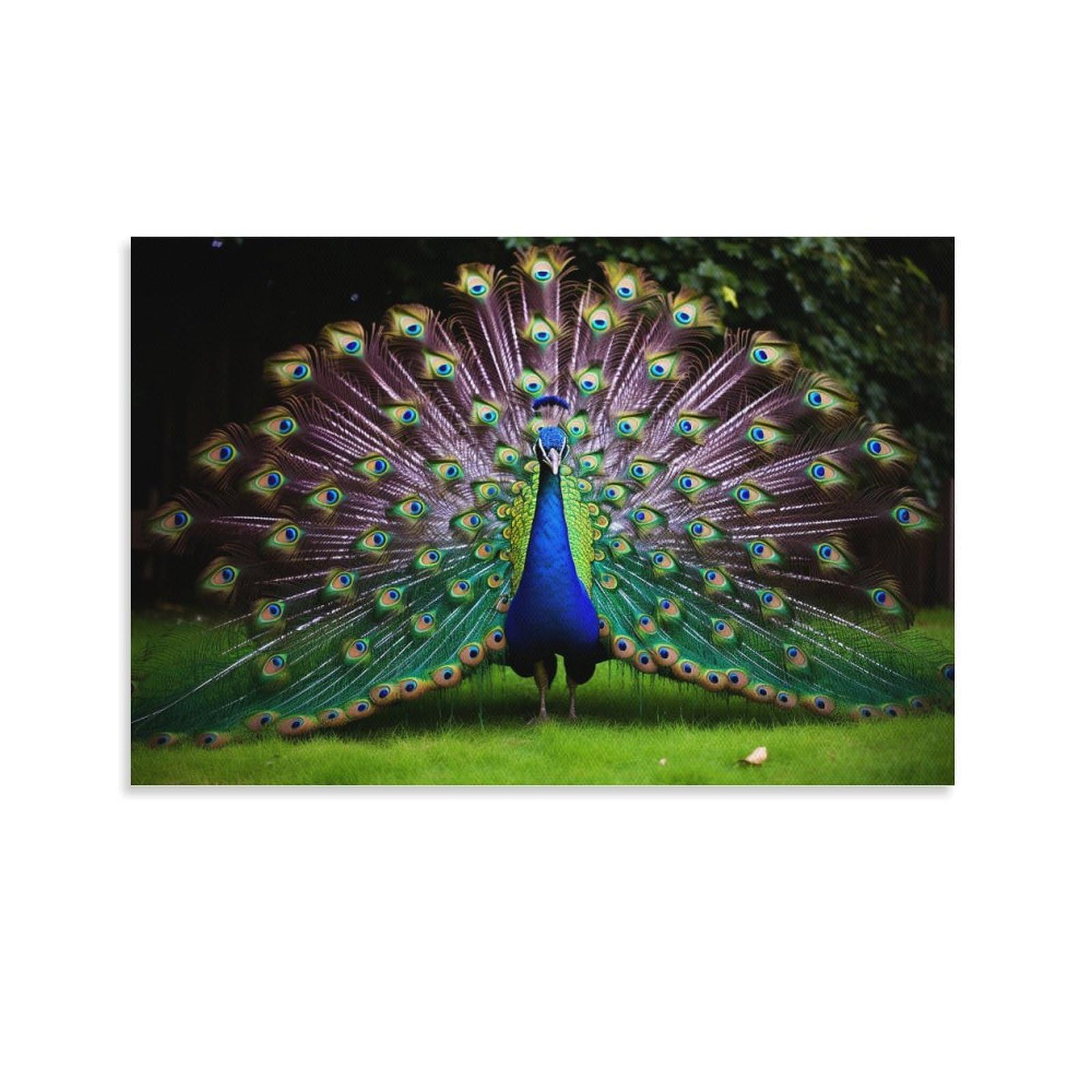 FOCCAR Gorgeous Peacock Canvas Wall Art Modern Peacock Opening Screen Posters Wall Decor Painting Art for Home Room Artwork