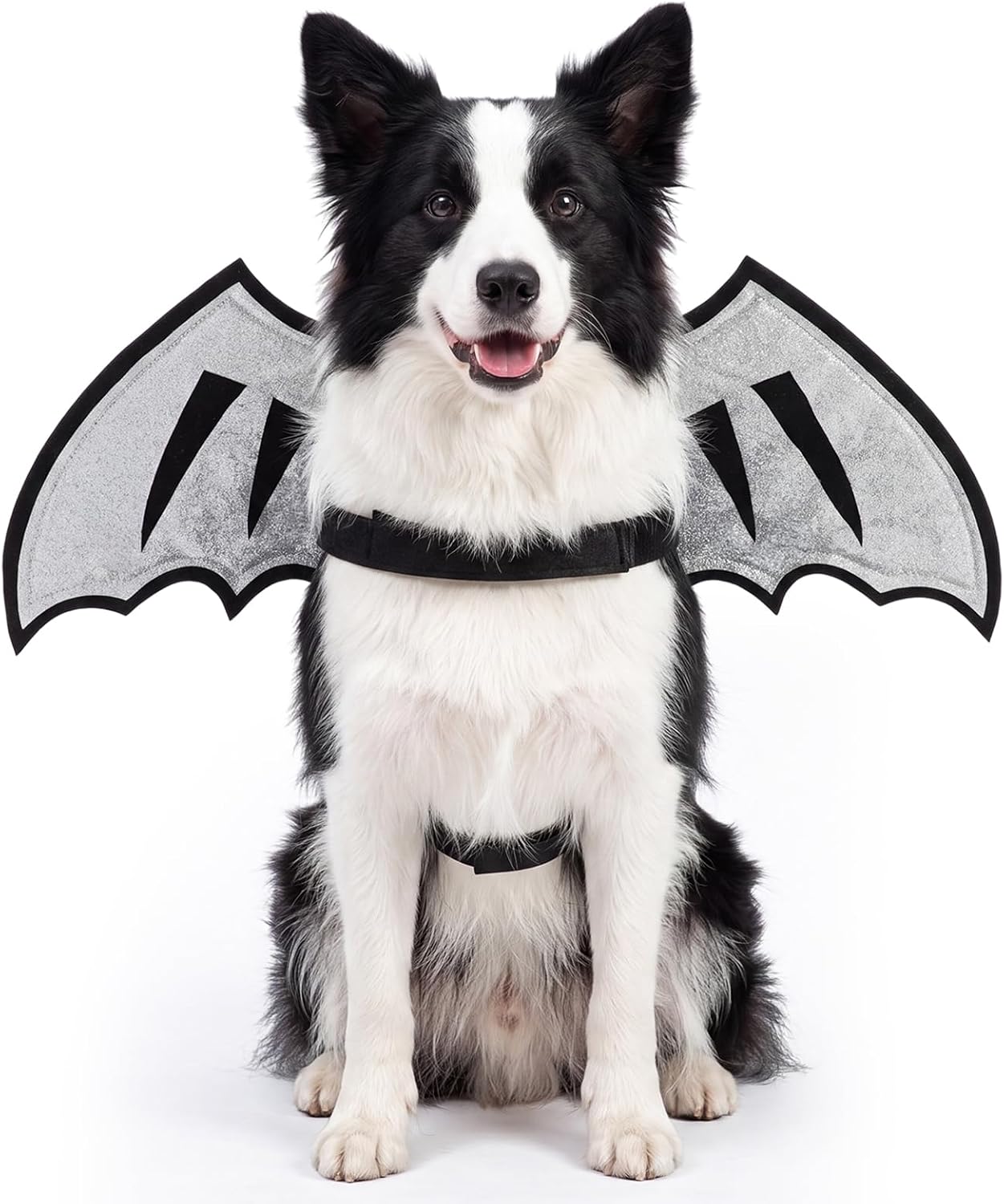 Dog Dragon Wings for Large Dogs Halloween Pet Costume Cosplay Wings Accessory for Large Cat Halloween Costume Birthday Party Photo Props, Purple