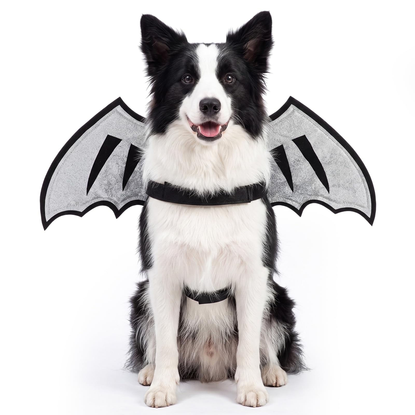 Dog Dragon Wings, Halloween Dragon Costume for Dog Cat, Silver, L