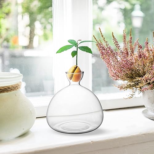 Miniatura 5 de Kit de cultivo de árbol de aguacate, jarrón de inicio de semillas de aguacate, maceta de vidrio con calcomanías de aguacate, regalos de jardinería