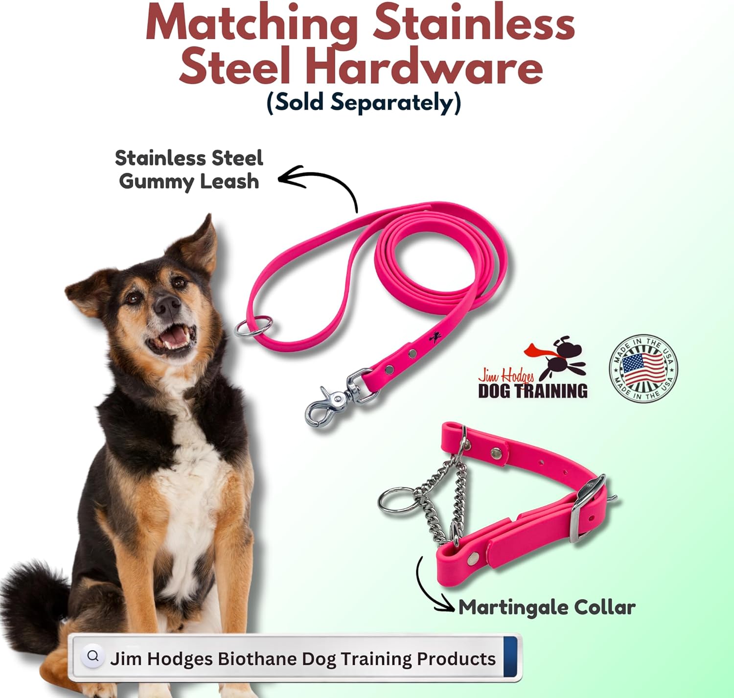 Martingale Collar for Dogs, Biothane, Stainless Steel Hardware, No Pull, Made in The USA, Professional Grade, Medium, Pink