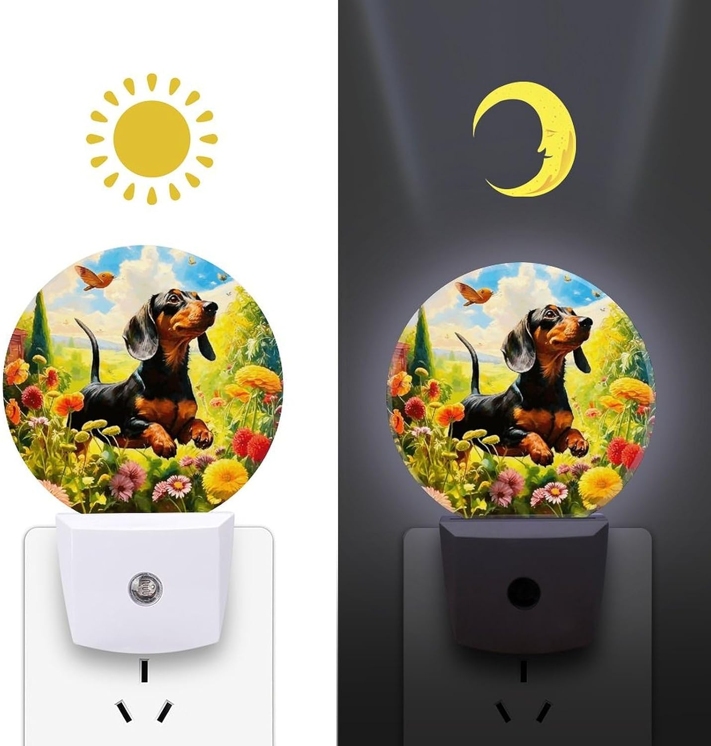 Dachshund Decoration Night Lights Plug Into Wall image 3
