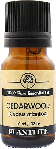 Vista 37 de Plantlife Aceite esencial de aromaterapia de alcaravea, directamente de la planta, 100% puro, grado terapéutico, sin aditivos ni rellenos, 0.3 fl oz