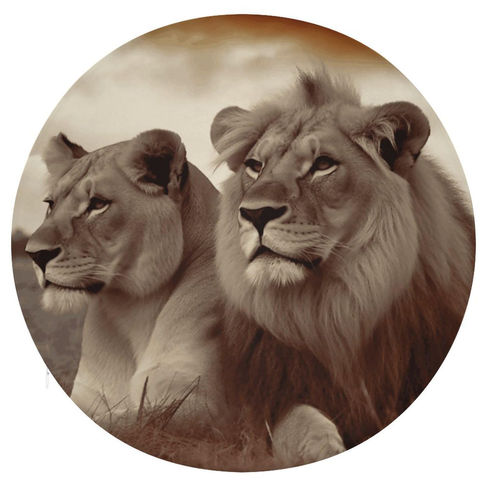 VstaDank African Lion and Lioness Round Cushion Memory Foam Seat Cushions 15In Comfort Meditation Floor Pillow Anti Slip Soft Stool Cushion Chair Pad for Tatami Living Room Yoga