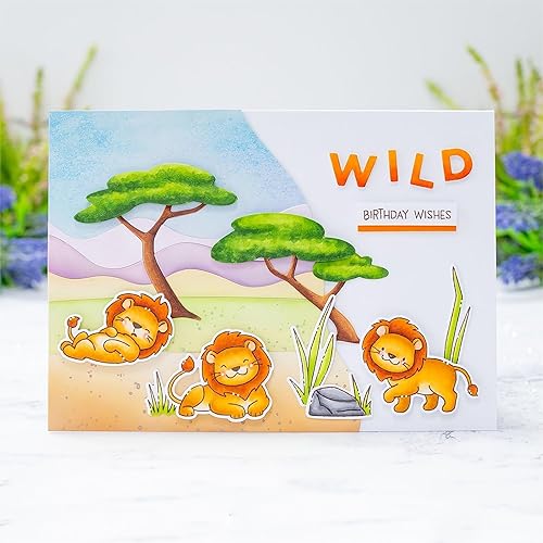 Miniatura 5 de Wild Birthday Wishes - Juego de sellos y troqueles para hacer tarjetas, sellos transparentes y troqueles de corte de metal para álbumes de recortes,