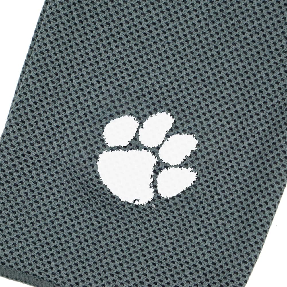 Northwest NCAA Unisex-Adult Cooling Towel