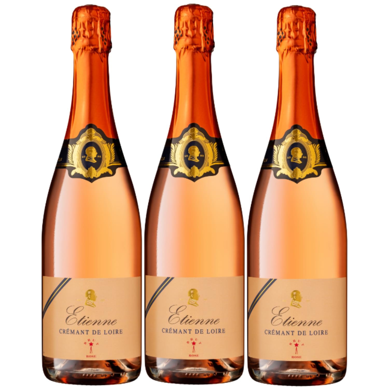 Bouvet Ladubay Etienne Brut Rosé Crémant de Loire AOC Frankreich Inkl. FeinWert E-Book (3 x 0,75l)