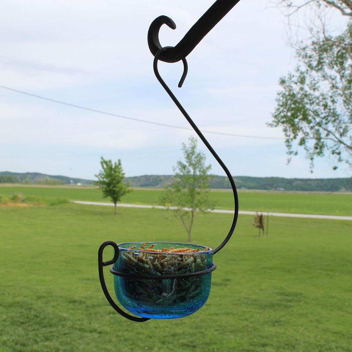 Bluebird Mealworm Feeder - Sparkling Blue Glass Bowl with Decorative Hanging Hook - Removable Cup for Easy Cleaning - Dried or Live Mealworm Feeder for Bluebirds Outdoors