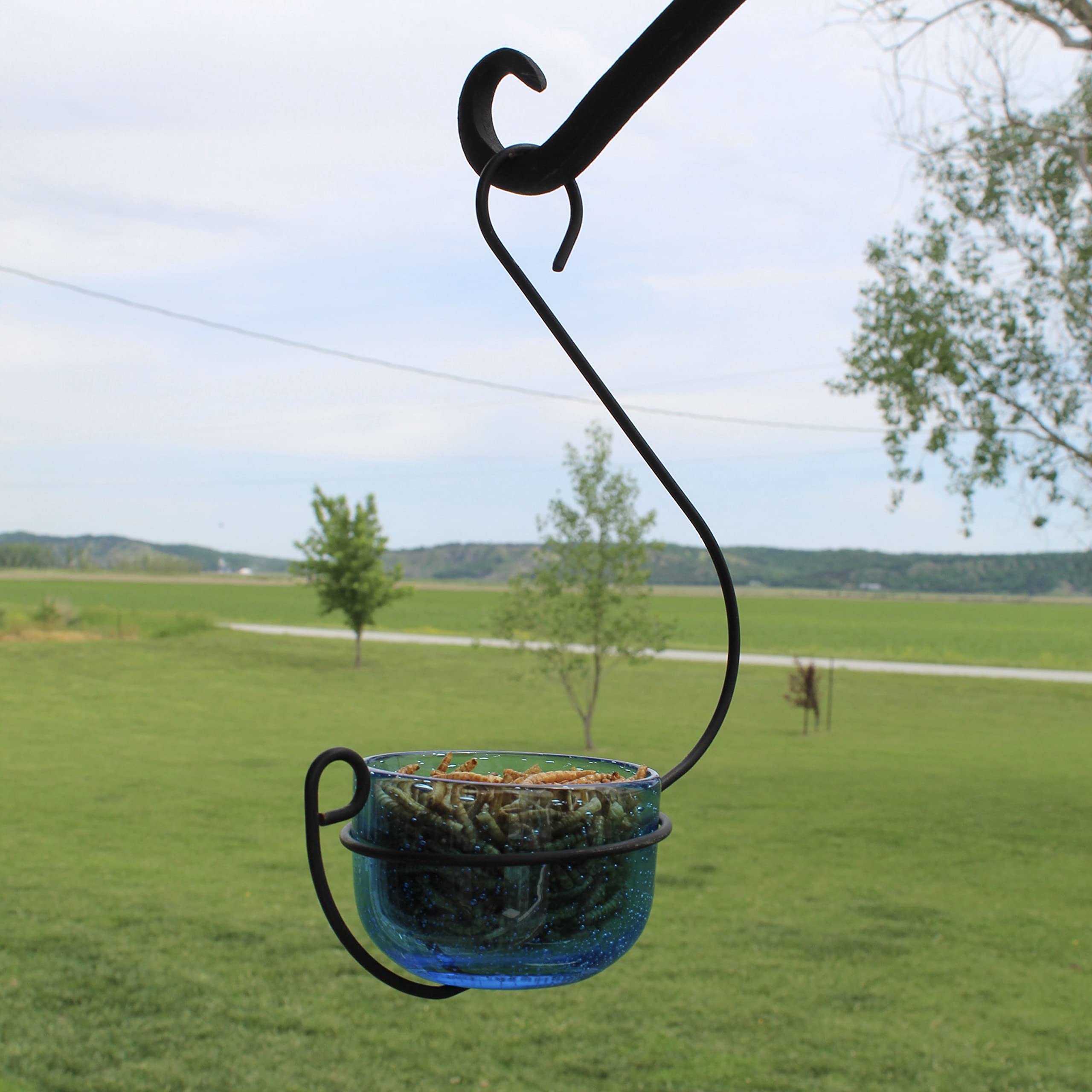 Vogelfutterstation, blaues Blasen-Glas, zum Aufhängen, für Leckerlis (blau)