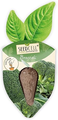 Miniatura 3 de Vegtrug Kit de vainas de semillas  Parche vegetal, semillas sin OMG con vainas de semillas totalmente biodegradables, contiene semillas de brócoli,