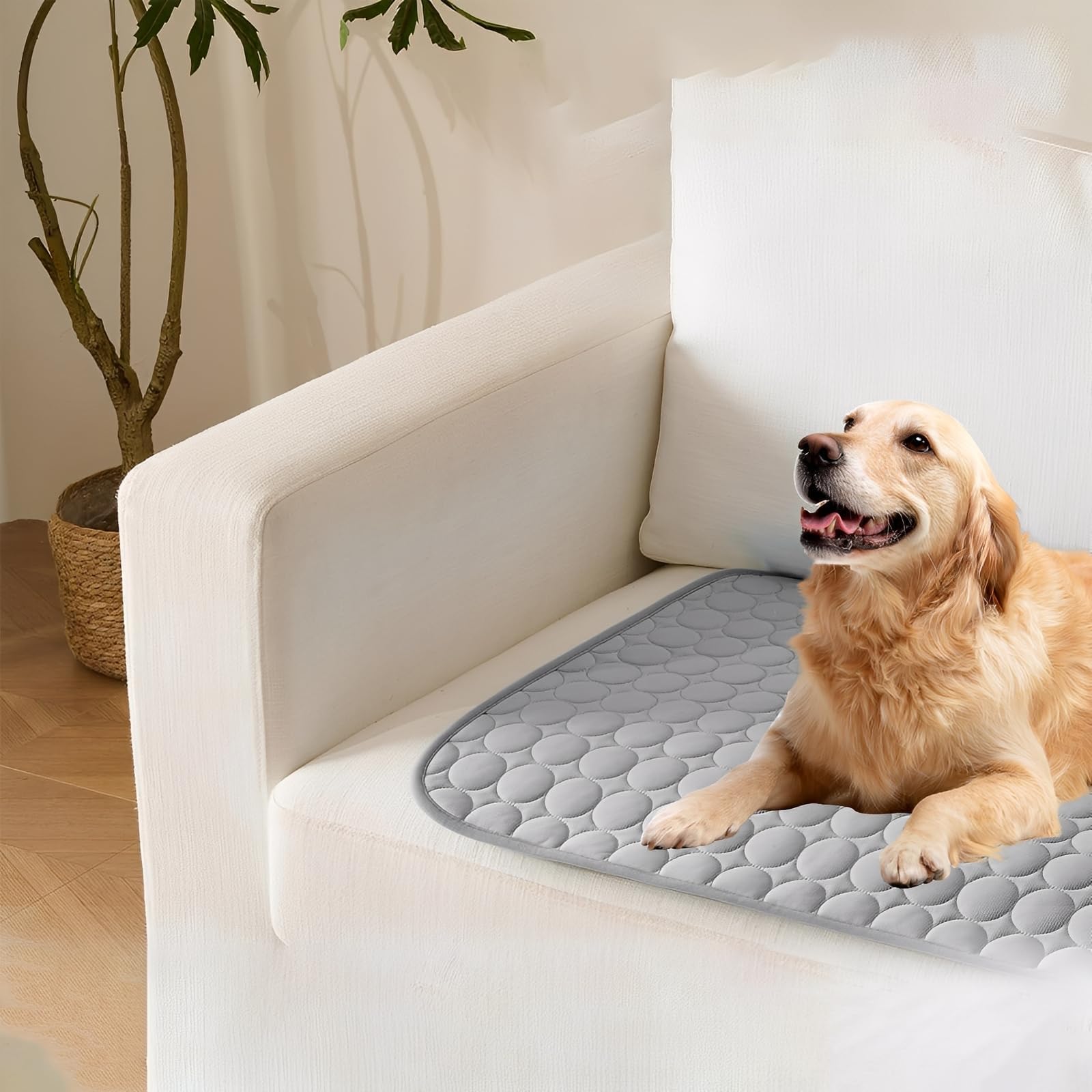 Manta Refrescante para Perros, 100 × 70 cm Colchoneta Perro, Seda Hielo Manta Fria para Perros, Gris Alfombra Refrescante Perro, Alta Disipación Térmica, Suave, Adecuada para Perro y Gatos