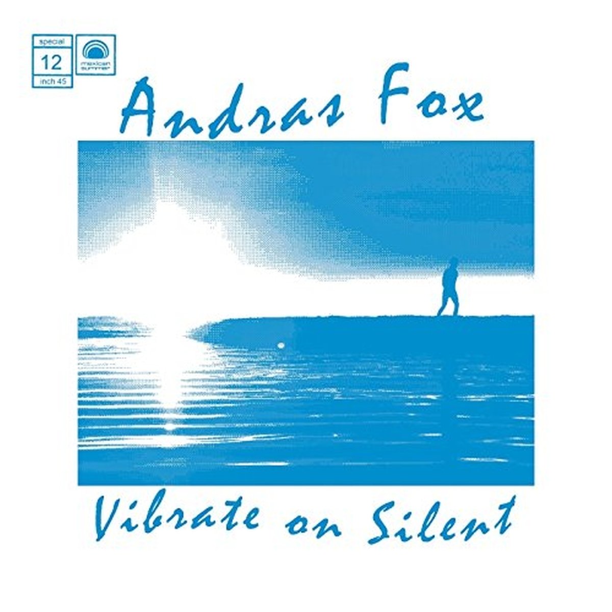 Vibrate on Silent [VINYL]