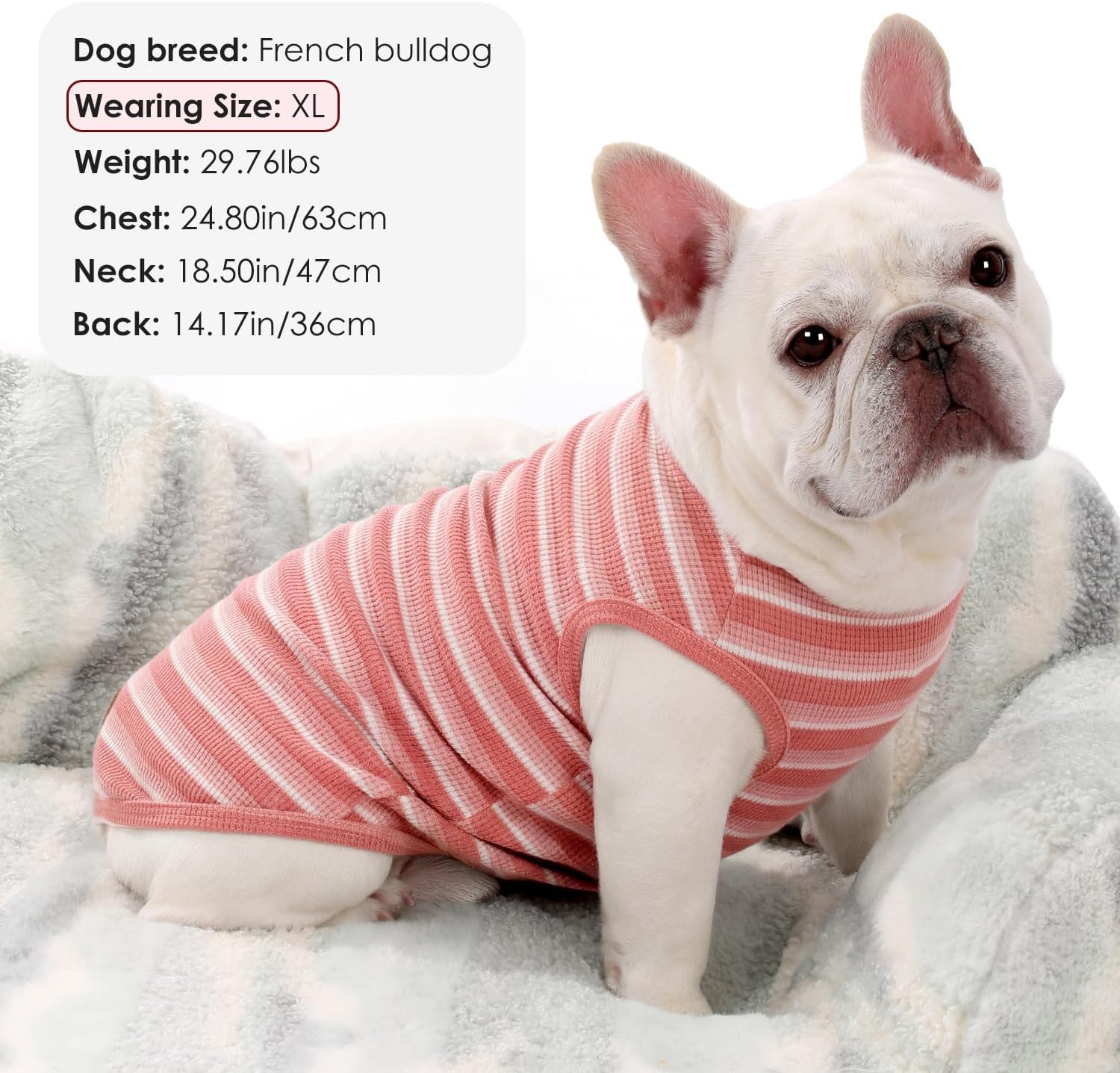 3Pack Dog Shirts Lightweight Waffle Dog Shirt for Small Dogs Sleeveless Dog Shirt for Small Medium Boy Girl Dogs Cozy & Breathable Pet Vest