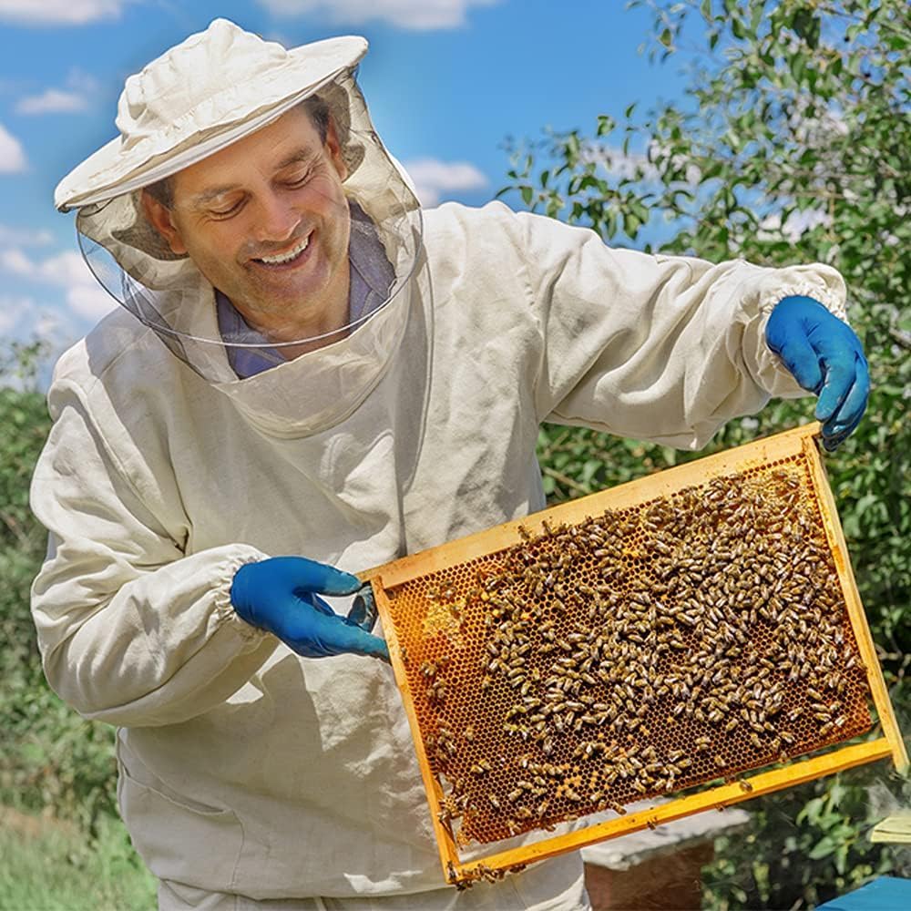 10 arkuszy Naturalna struktura plastra miodu Wosk pszczeli, miodowe płatki wosku pszczelego Podstawa gniazda, pszczelarstwo, baza wosku pszczelego, rama z wosku ula