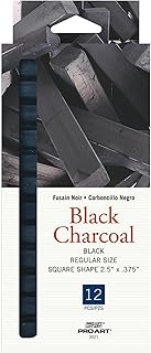 Pro Art Charcoal Black 12pc