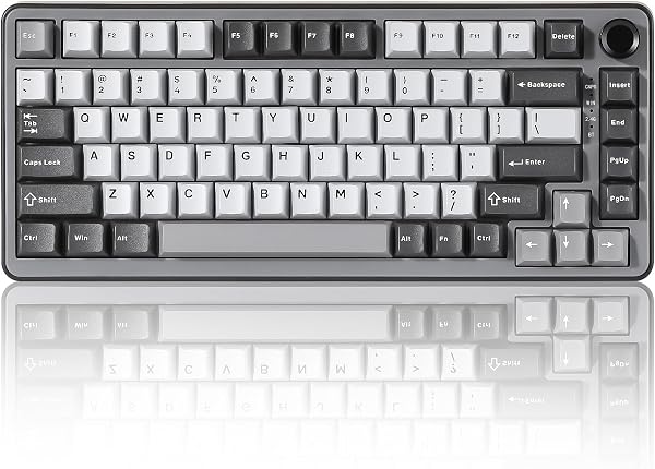 YUNZII B75 PRO Tastiera Meccanica Senza Fili, 75% Gaming Custom Keyboard Gasket Mount Hot Swap Con Manopola, Pre-lubrificato Interruttori RGB, BT/Tipo-C/2.4G(Dark Grey, Milk Switch) - 1