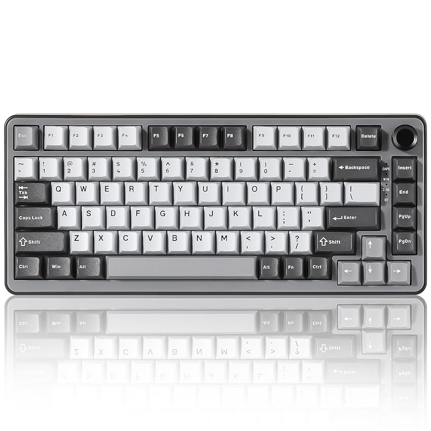 YUNZII B75 PRO Tastiera Meccanica Senza Fili, 75% Gaming Keyboard Guarnizione Hot Swap Custom Con Manopola, Pre-lubrificato Interruttori RGB, BT/Tipo-C/2.4G (Dark Grey, Milk Switch)
