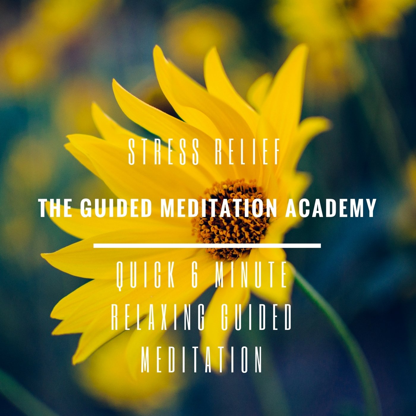 The Guided Meditation Academy