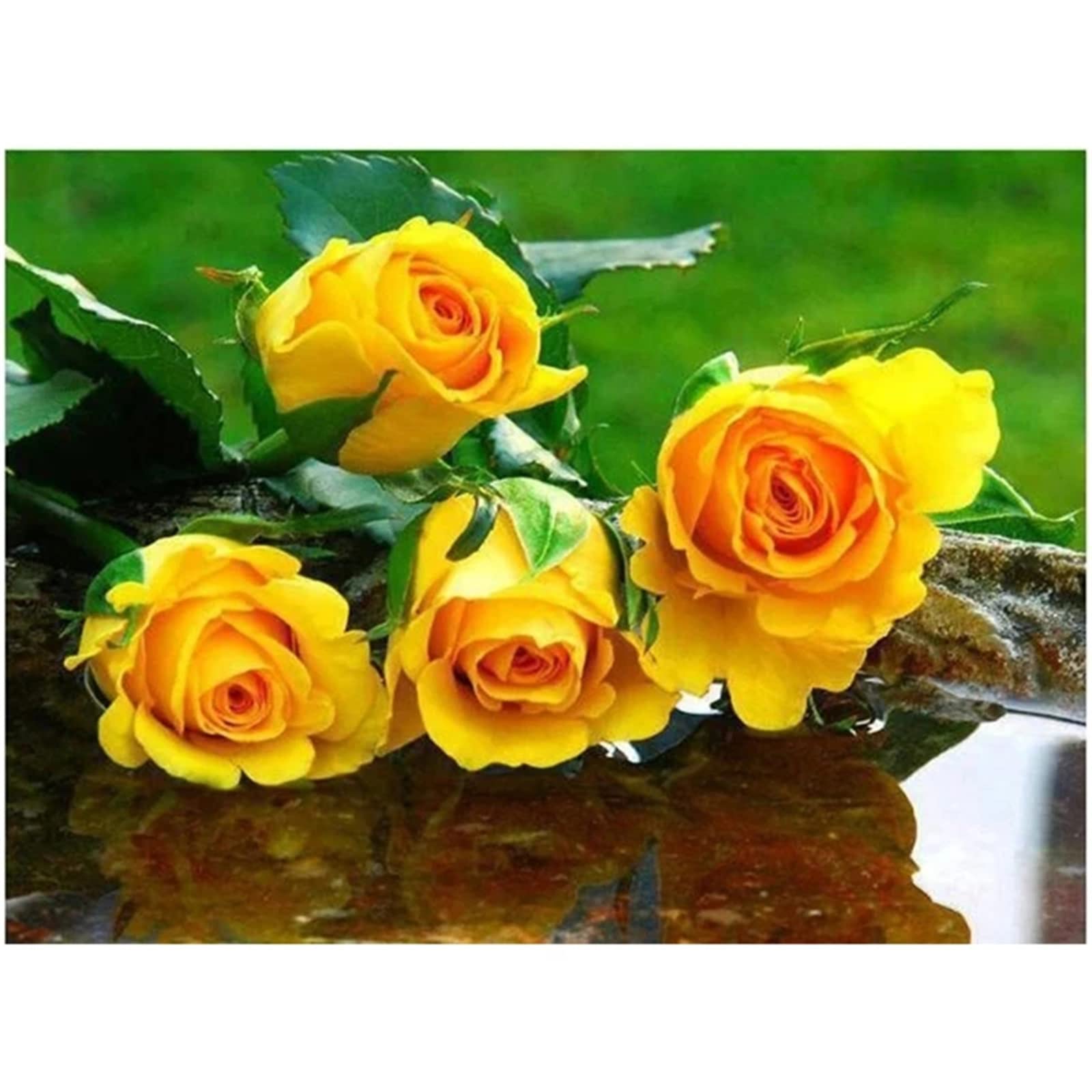 Diamant Malerei Gelbe Rose – DIY Set, 30x40 Cm, Vollbesetzt, Ohne Rahmen, Inkl. Werkzeug