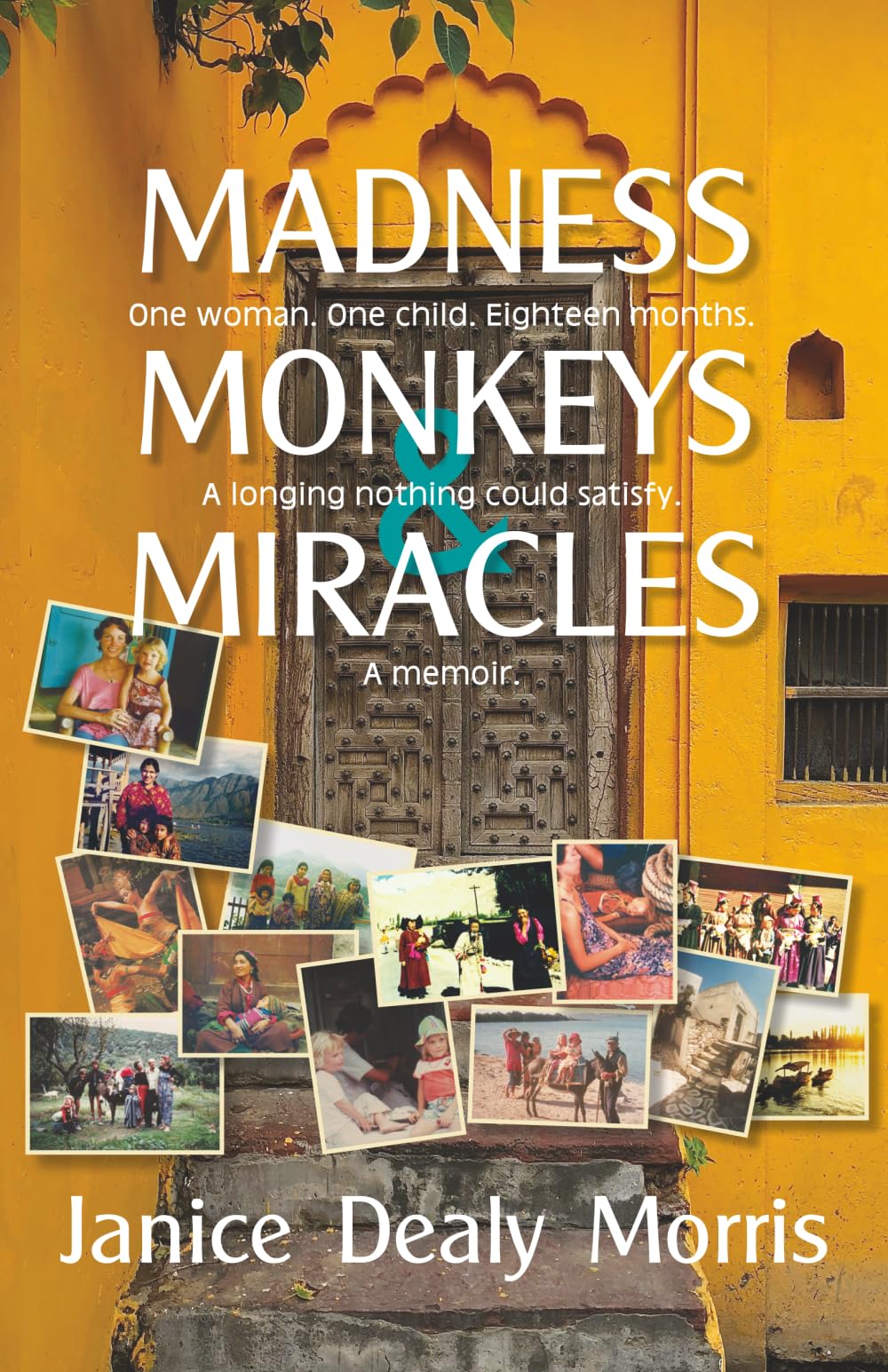 Madness Monkeys & Miracles
