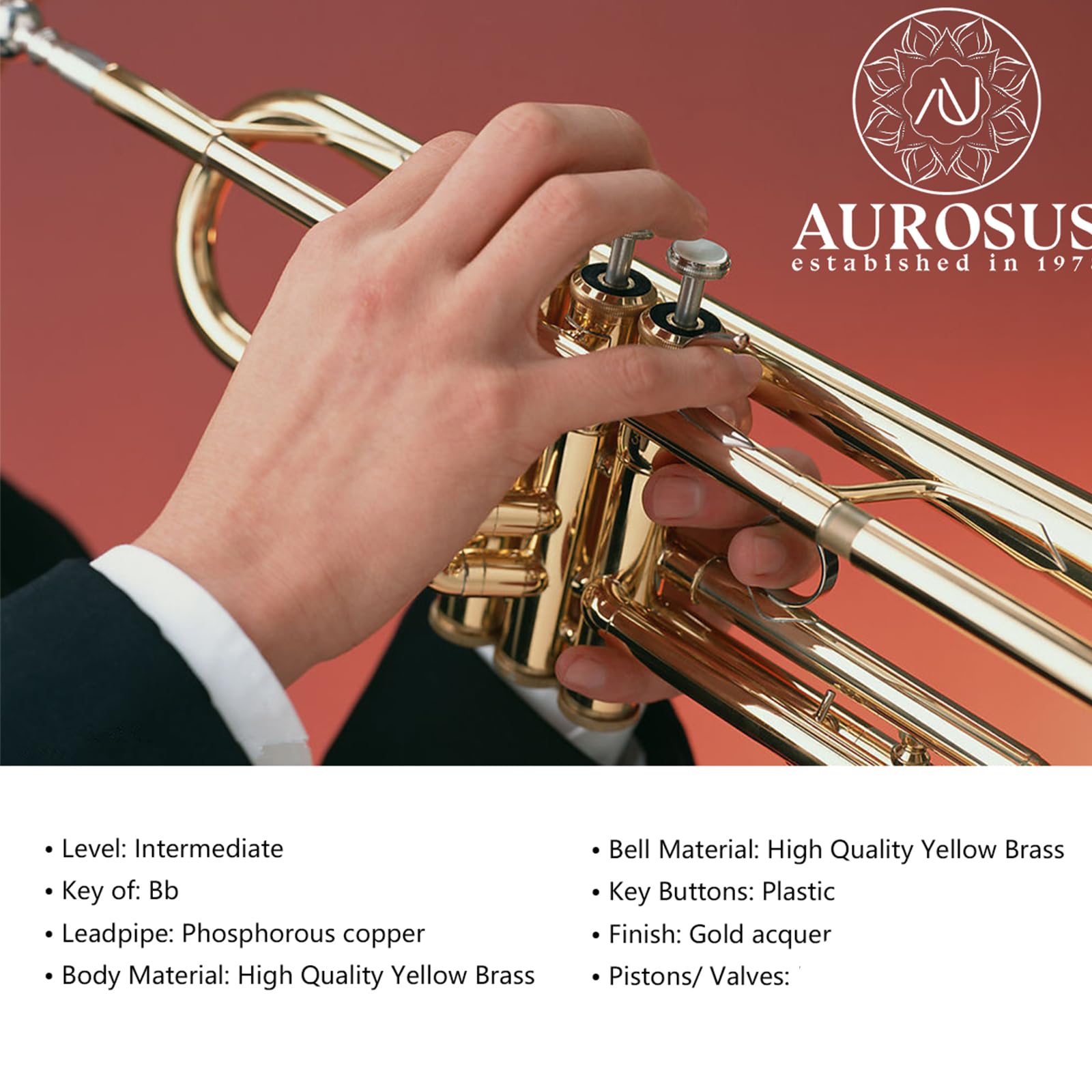 6331 Bb standard tromba leadpipe fosforo coppe per principianti o studenti avanzati caso panno guanti ottone strumenti musicali (ottone oro 6331H)