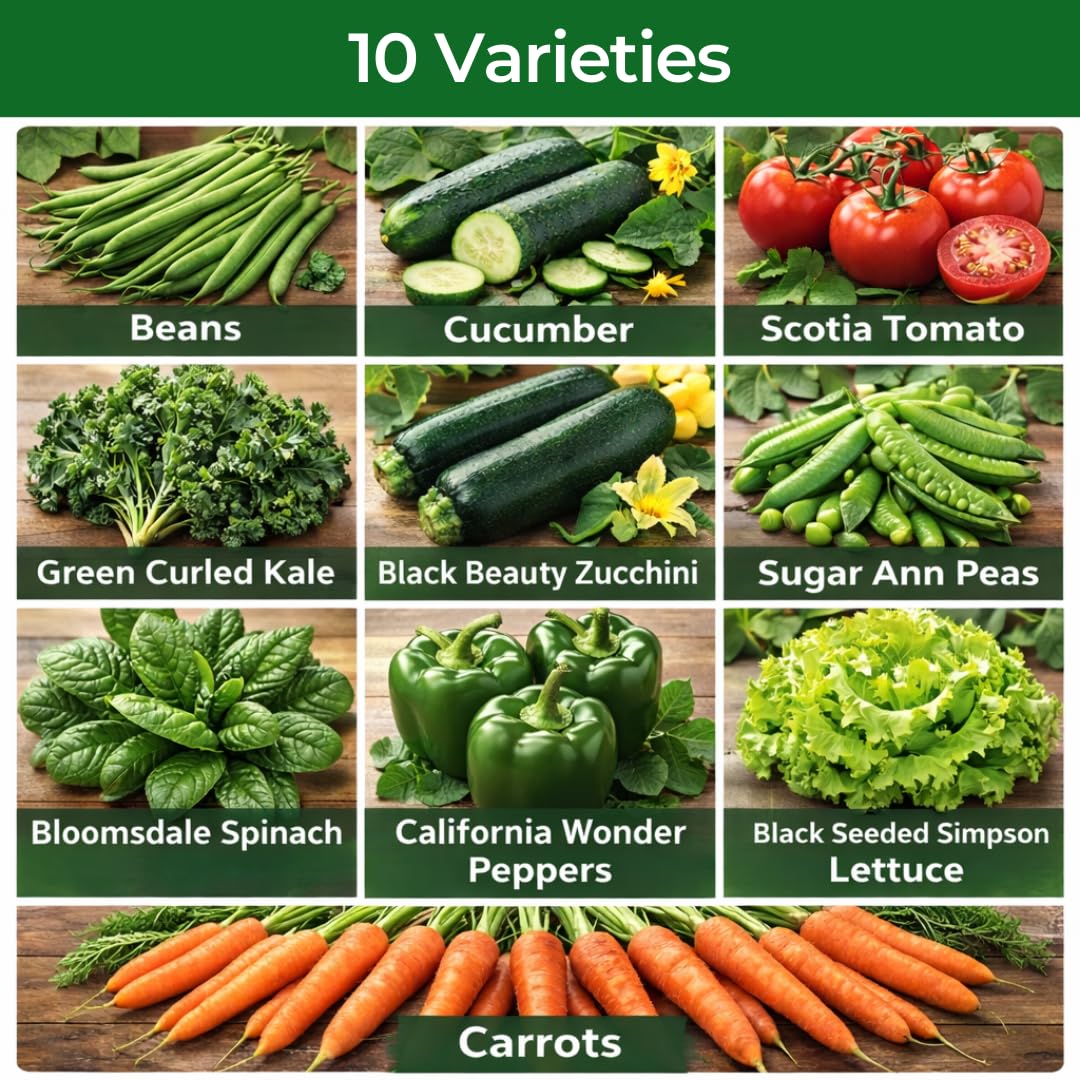 10 Heirloom Vegetable Seed Varieties – Seeds for Planting in Canada, Home and Survival Garden Plant Seeds, Graines de Jardin Canadian Variety Pack Kit - 5
