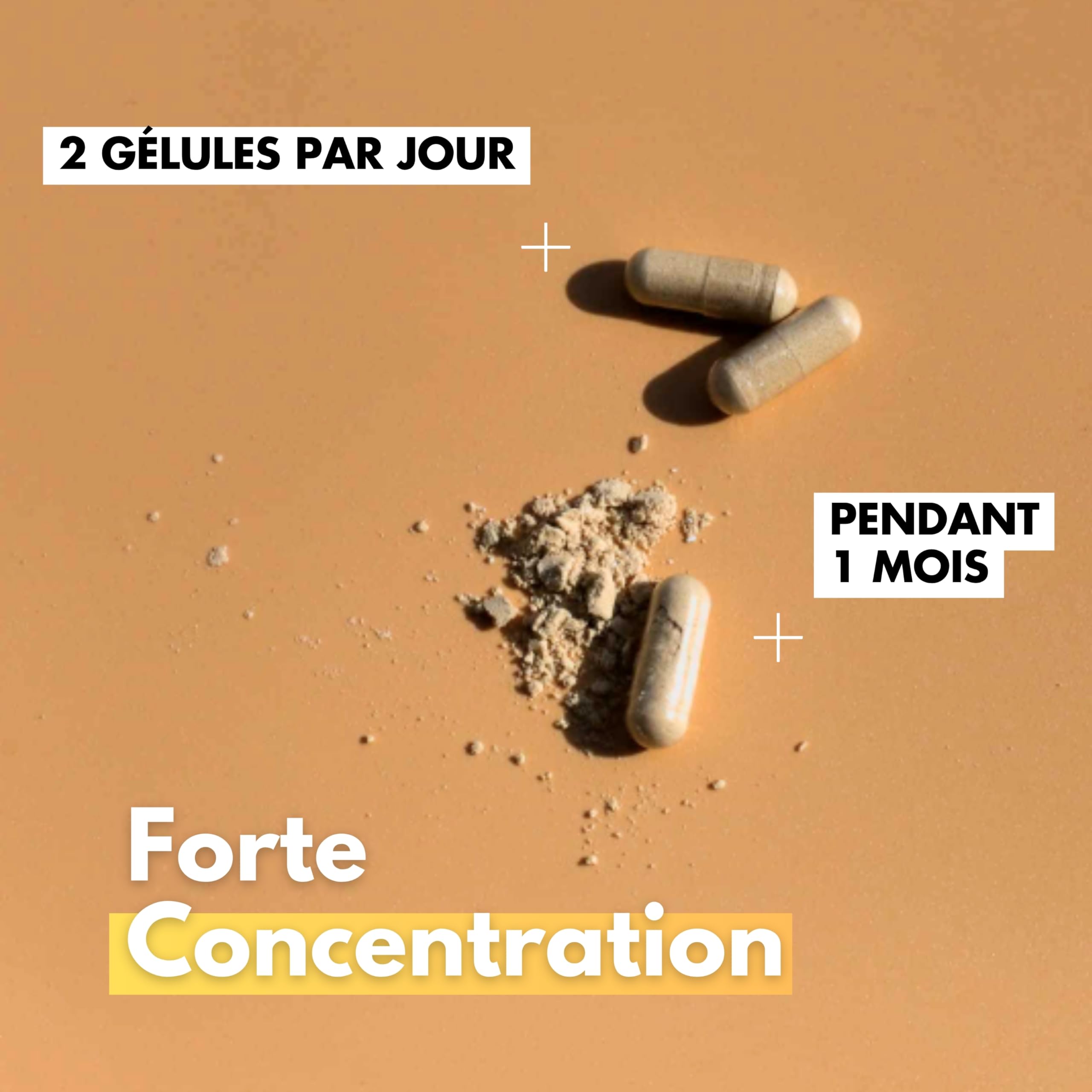 KOTOR PROSTATE | Troubles Urinaires, HBP, Envie Fréquente d’Uriner | Complexe Naturel & Français | Ortie Piquante + Palmier Nain + Prunier d’Afrique | 60 Gélules | 1 Mois