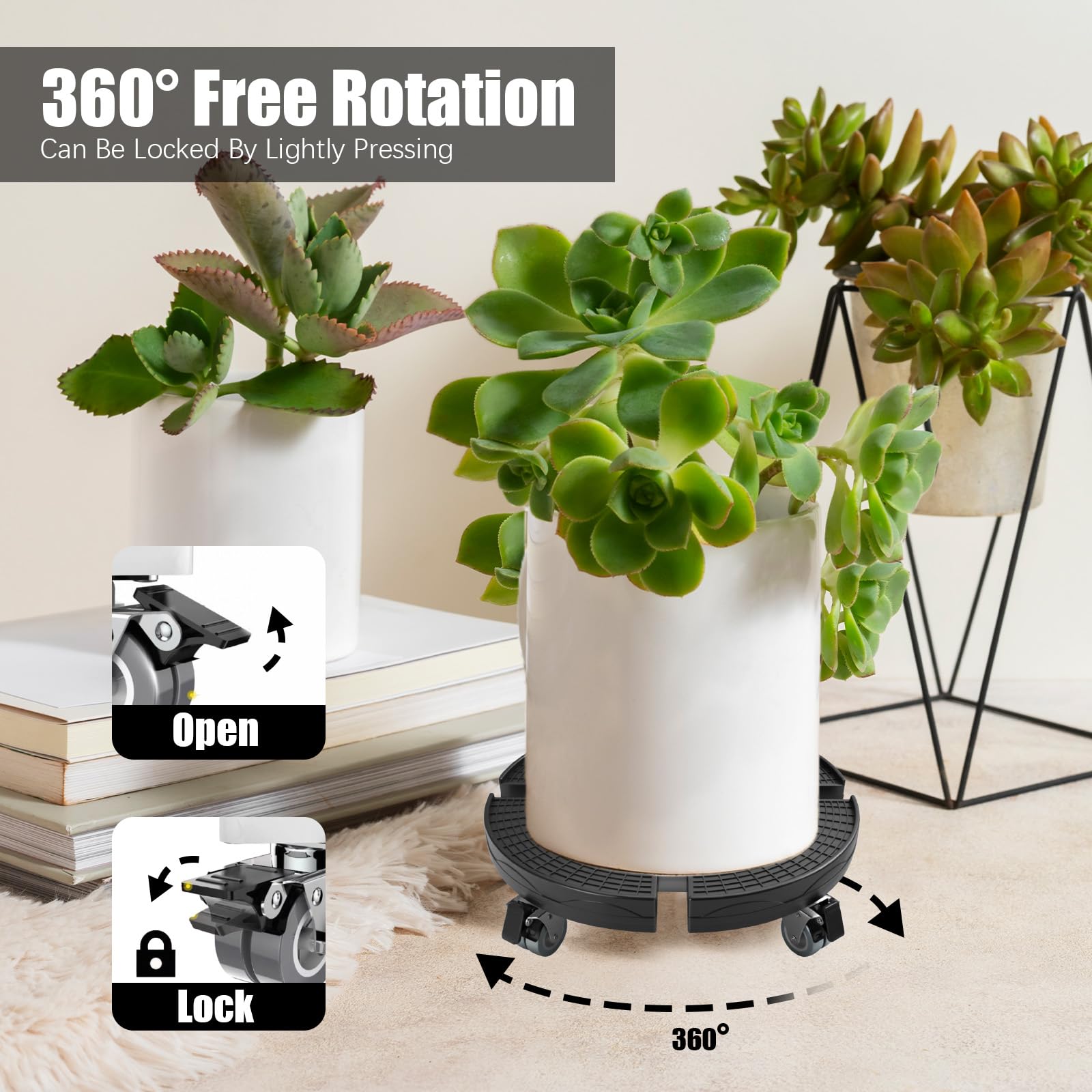 24 Sottovasi Per Piante Con Etichette Incluse - 3 Dimensioni (16/20/24 Cm) - Rotondi, Impermeabili, Per Interni Ed Esterni, Decorazione Giardino