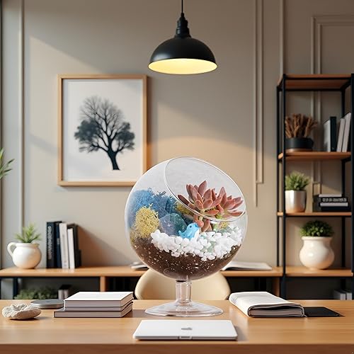 Miniatura 7 de Creations by Nathalie - Kit de terrario suculento de cristal de cáliz de 6 pulgadas para niños y adultos, musgo de reno, cristal y rocas,