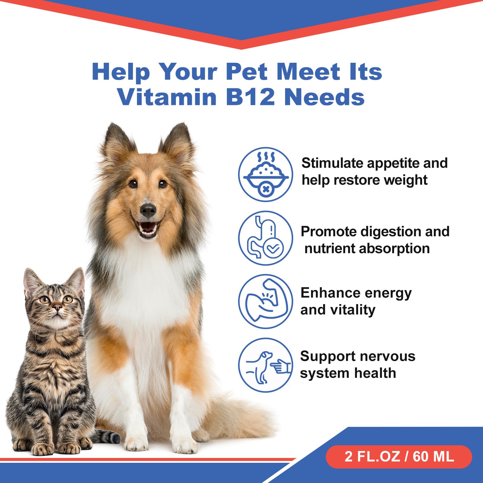 Cat Appetite Stimulant - Vitamin B12 (Methylcobalamin) Liquid Supplement - Boosts Appetite, Energy, and Mood - 60 ml