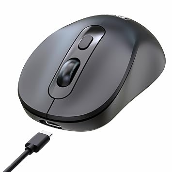 TAG WM900 Dual Mode Wireless Mouse – 2.4GHz & Bluetooth, Silent Click, Rechargeable Type-C, Adjustable DPI (800/1200/1600), 10m Range, 72H Battery, for Windows/Mac/iOS/Linux/Android – Black