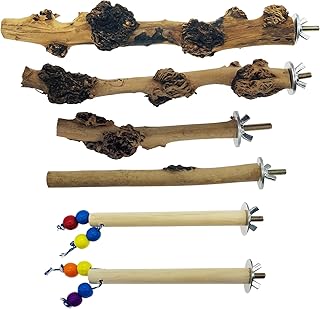 Allazone 6 PCS Natural Wood Bird Perch Stand Bird Parrot Perch Stand Set, Wooden Parrot Perch Stand Perch Cage Accessories for Parrot-Lets Cockatiel Budgies Parakeets