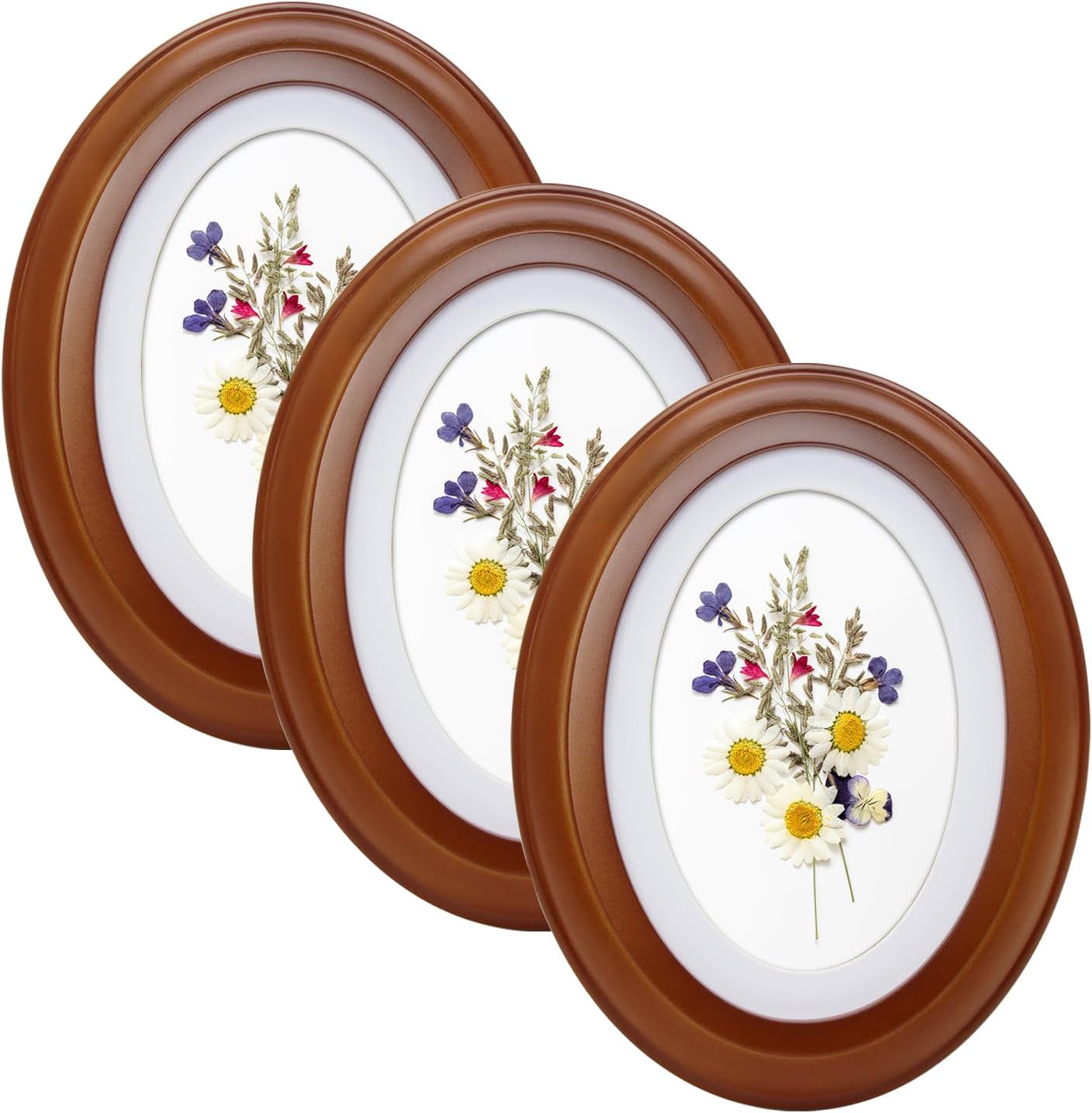 3Pack Frame Picture Photo Oval Wall Frames Hanging Round Home Decoration White Black Decorating Tool Tabletop Vintage (White,8x10)