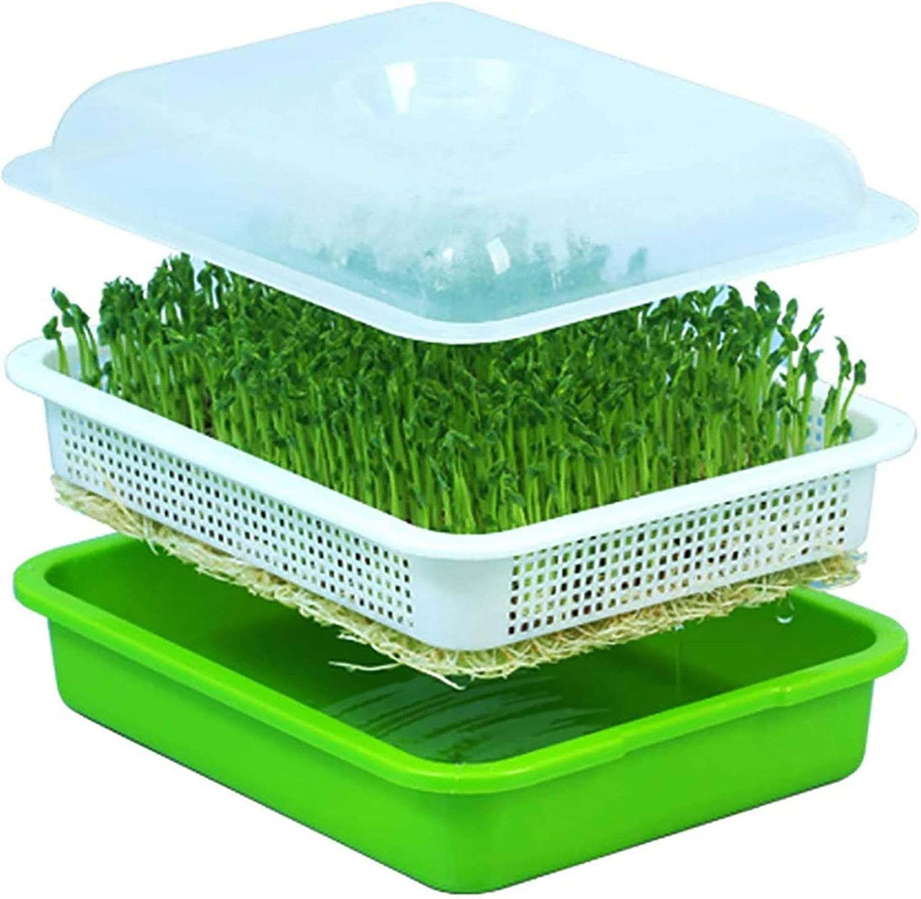 Bandeja De Germinación De Semillas De 4 Piezas, Bandeja De Germinación De Brotes De Soja, Kit De Germinación Cubierto, para La Germinación De Semillas Súper Pequeños Agujeros