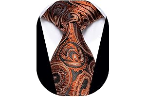 Men's Fall Paisley Floral Silk Tie for Formal Party - 3.15' Men's Neckties