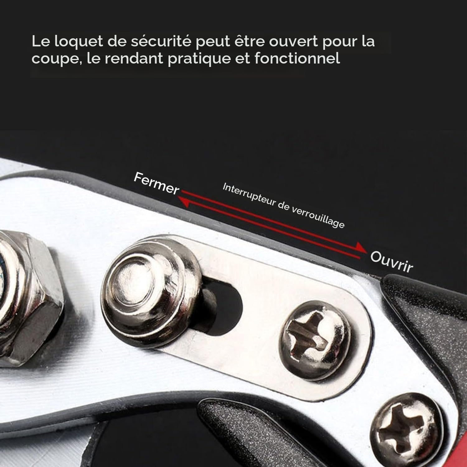 31006 Sécateur Professionnel Pour Vigne De 23 Cm Forgé, Avec Fermeture