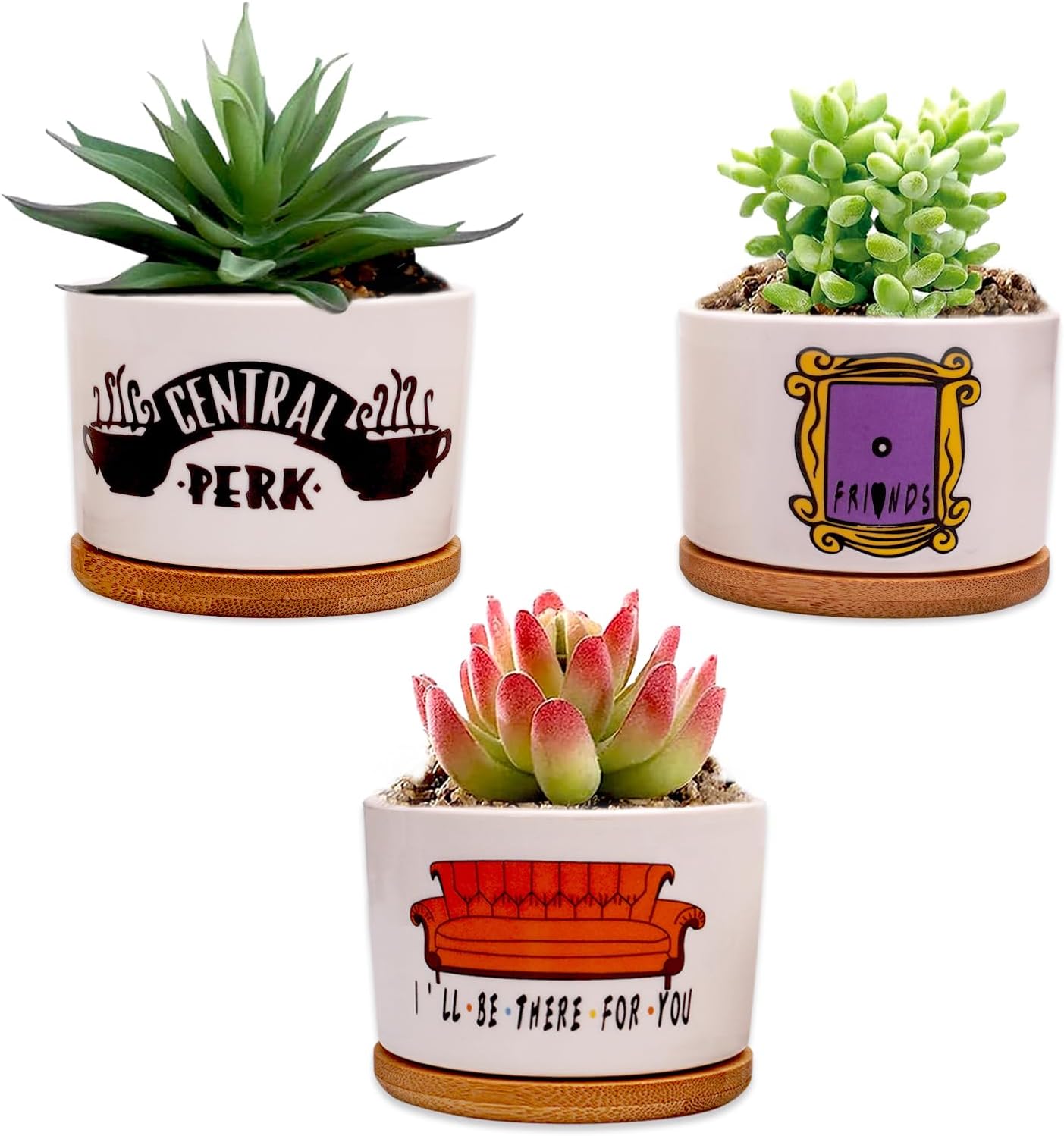 3 Piece Plant Pots,Funny MerchandisTV Show Gifts,Funny TV Show Decor,Funny Merchandise Small Ceramic Succulent Planter with Drainage,Our Flower Pots are Ideal for Fans Any Home,Room,Bedroo