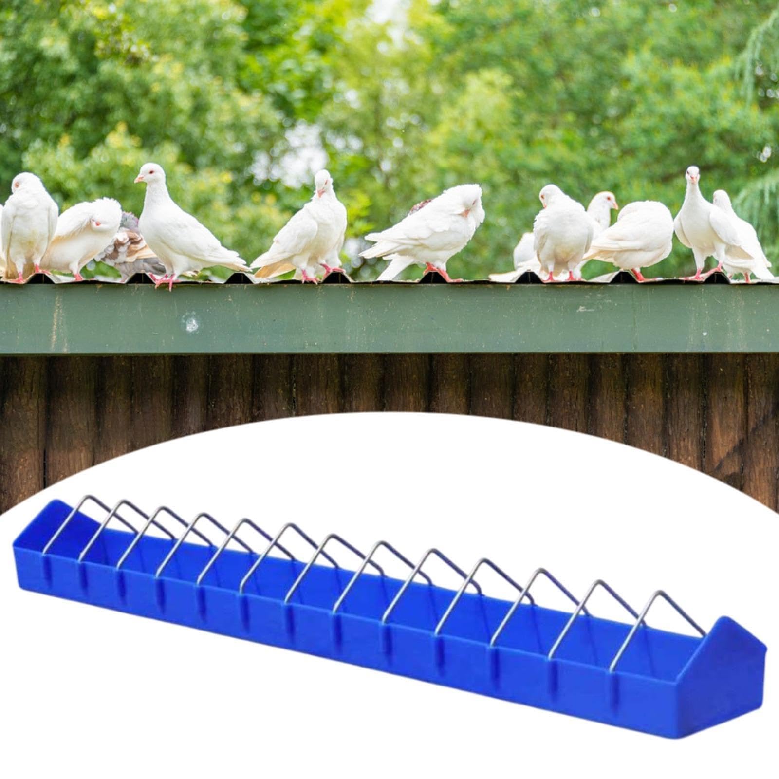 Mangiatoia per Piccioni, Mangiatoia di Grande capacità, Robusta Mangiatoia per Pollame, Contenitore per Cibo per Casette per Uccelli, Tacchini E, 80 Cm