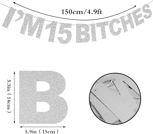 Miniatura 2 de LINGTEER Divertida pancarta plateada con purpurina con texto en inglés "I'm 15 Birthday", decoración de fondo para fotos de fiesta de cumpleaños de