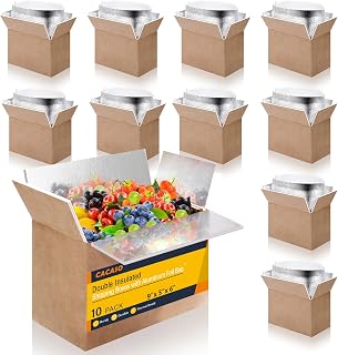 Double Insulated Shipping Boxes,10 Pack Cold Shipping Boxes with Aluminum Foil Insulated Bag,Small Mailing Box Styrofoam Box for Shipping Frozen Food,Mailing,Packing,Moving,9" x 6" x 5"