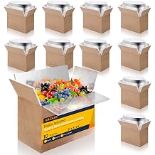10 Pack Shipping Boxes, Double Insulated, 9 x 6 x 5 Inch | Cold Shipping Boxes with Aluminum Foil Insulated Bag, Styrofoam Box for Shipping Frozen Food, Mailing, Packing and Moving