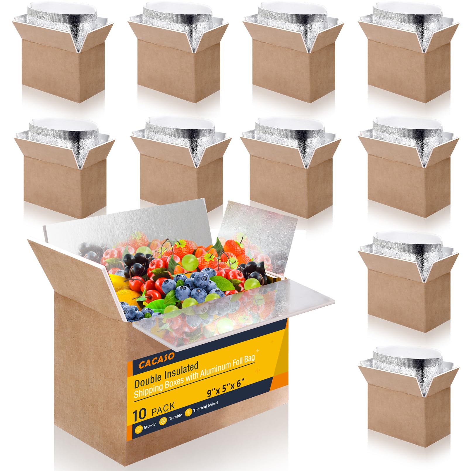 CACASO Double Insulated Shipping Boxes,10 Pack Cold Shipping Boxes with Aluminum Foil Insulated Bag,Small Mailing Box Styrofoam Box for Shipping