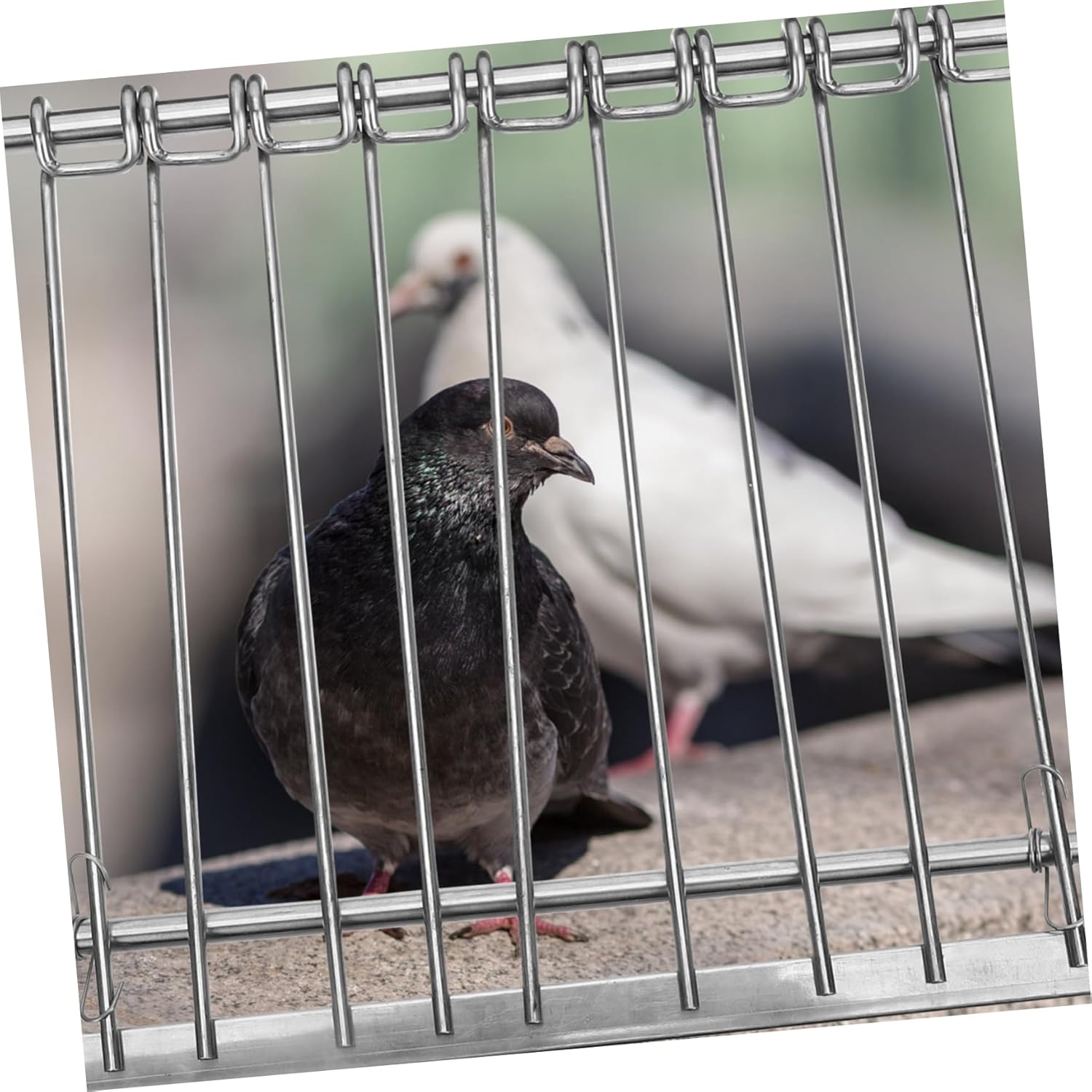 TOYANDONA Pigeon Door for Bird Cage Adjustable Pigeon Cage Entrance Sturdy Design for Easy Installation