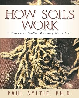 How Soils Work Lahore, Karachi - Pakistan