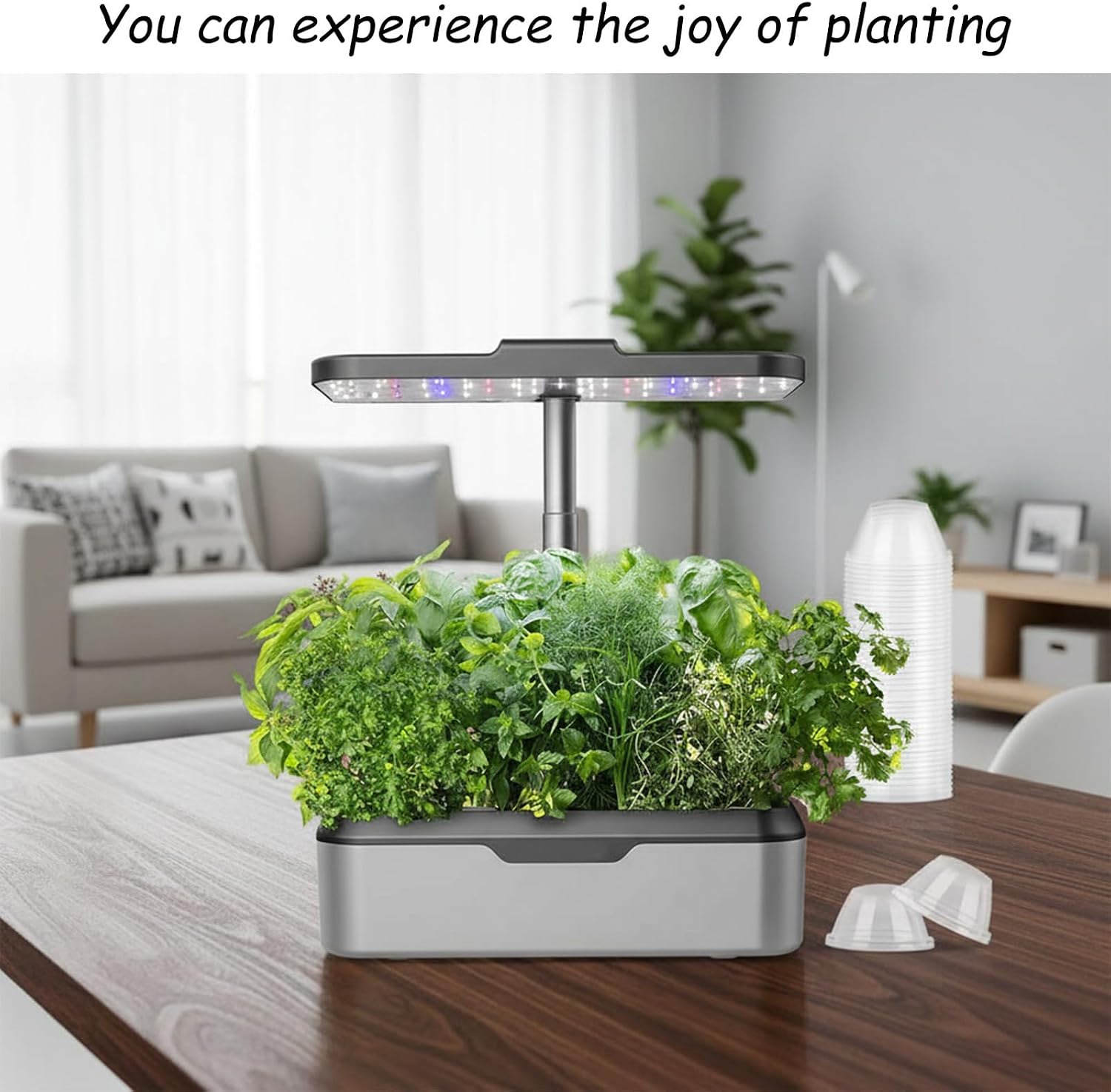 50 Pack Grow Domes Hydroponic, Transparent Hydroponic Dome Covers for Plants, 1.57in Inner Humidity Plant Domes Caps Plant Covers for Growing System