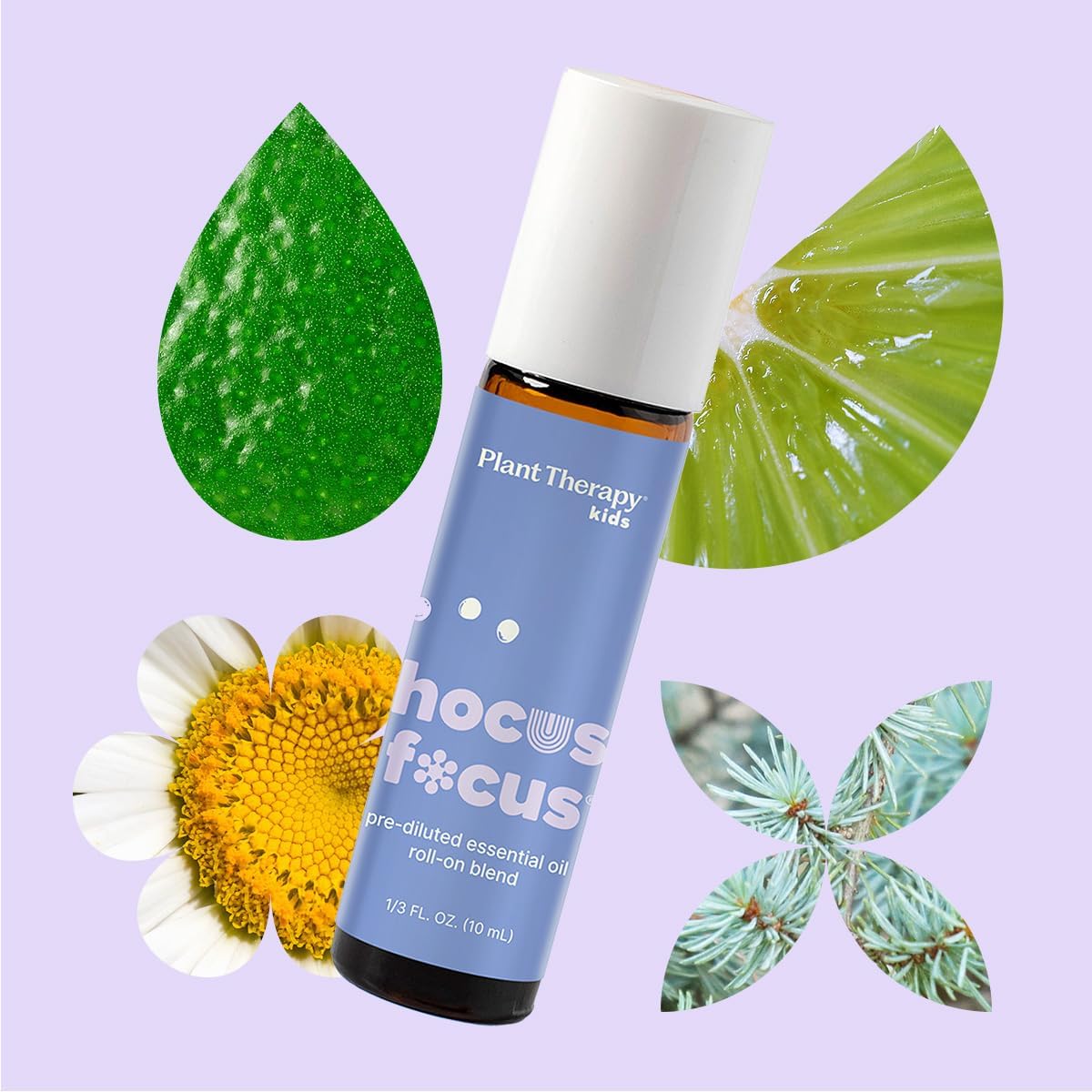 Plant Therapy Kids Hocus Focus Essential Oil Blend Pre-Diluted Roll-On 10 mL (1/3 oz) Aromatherapy Blend for Focus, Attention, and Concentration, KidSafe - Image 3