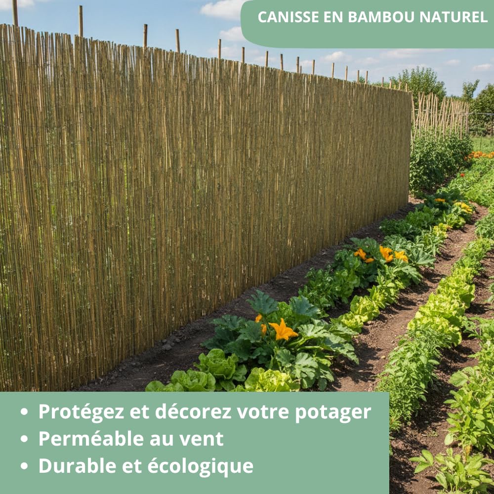 AUBRY GASPARD - Canisse en Petit Bambou - Brise Vue Jardin occultant - Livré en Rouleau avec Sac de Transport - Idéale pour Jardin et Terrasse - Résistant aux intempéries - 150x500 cm