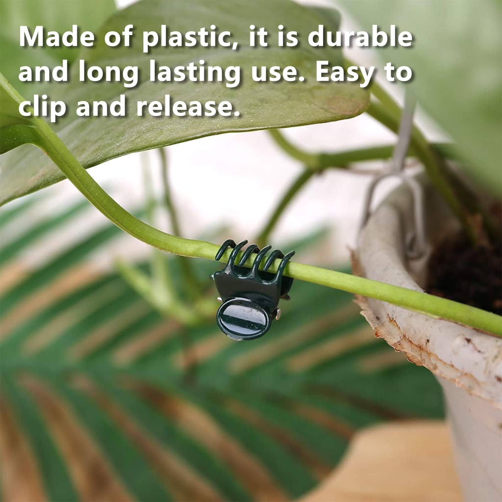 Heeqinn Orchideen-Clips Mit Zähnen – 100 Stück, Grün, Pflanzenclips Zum Festhalten Von Ranken An Stäben Oder Gittern