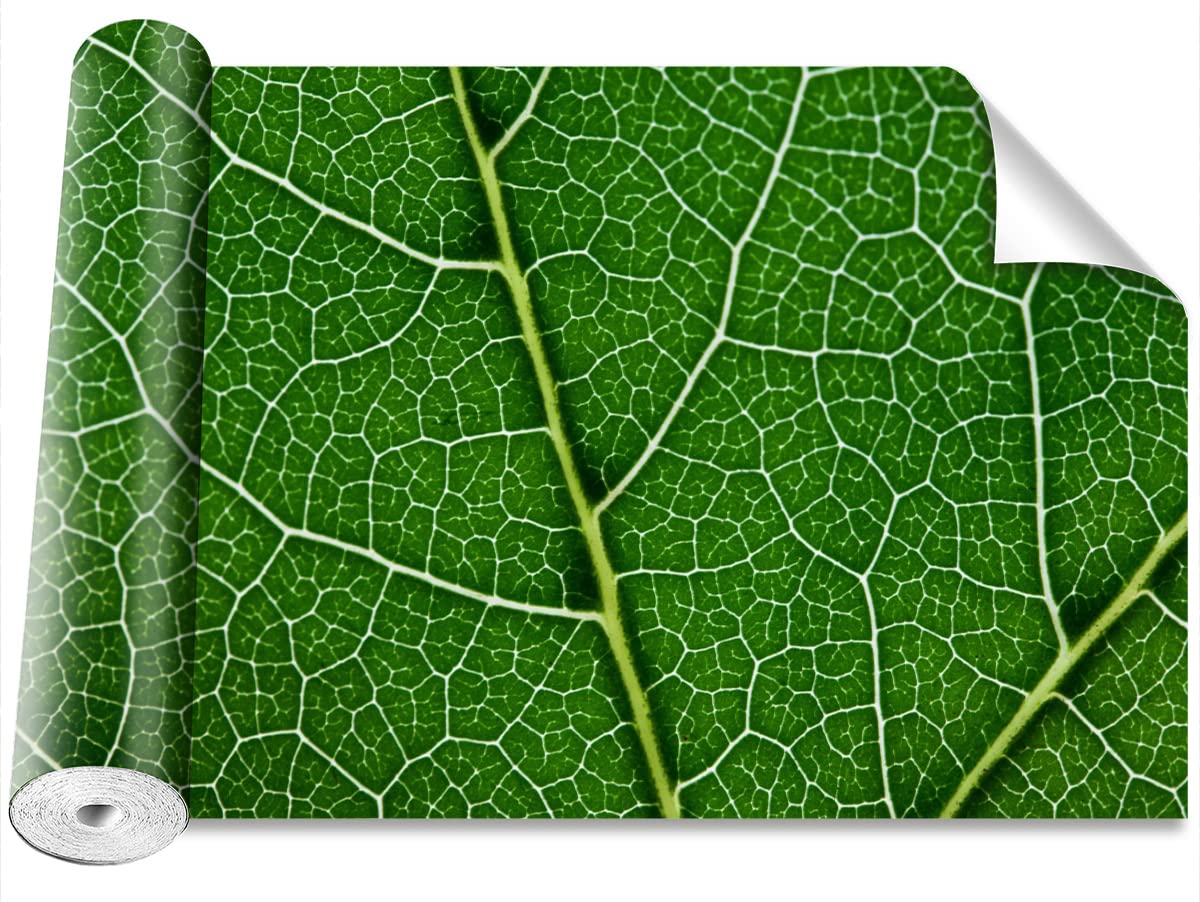 Papier peint moderne feuille verte Tulup pour masquer les imperfections des murs